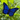 3D Printed Butterfly Cache Container with Bison- Blue