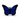 3D Printed Butterfly Cache Container with Bison- Blue