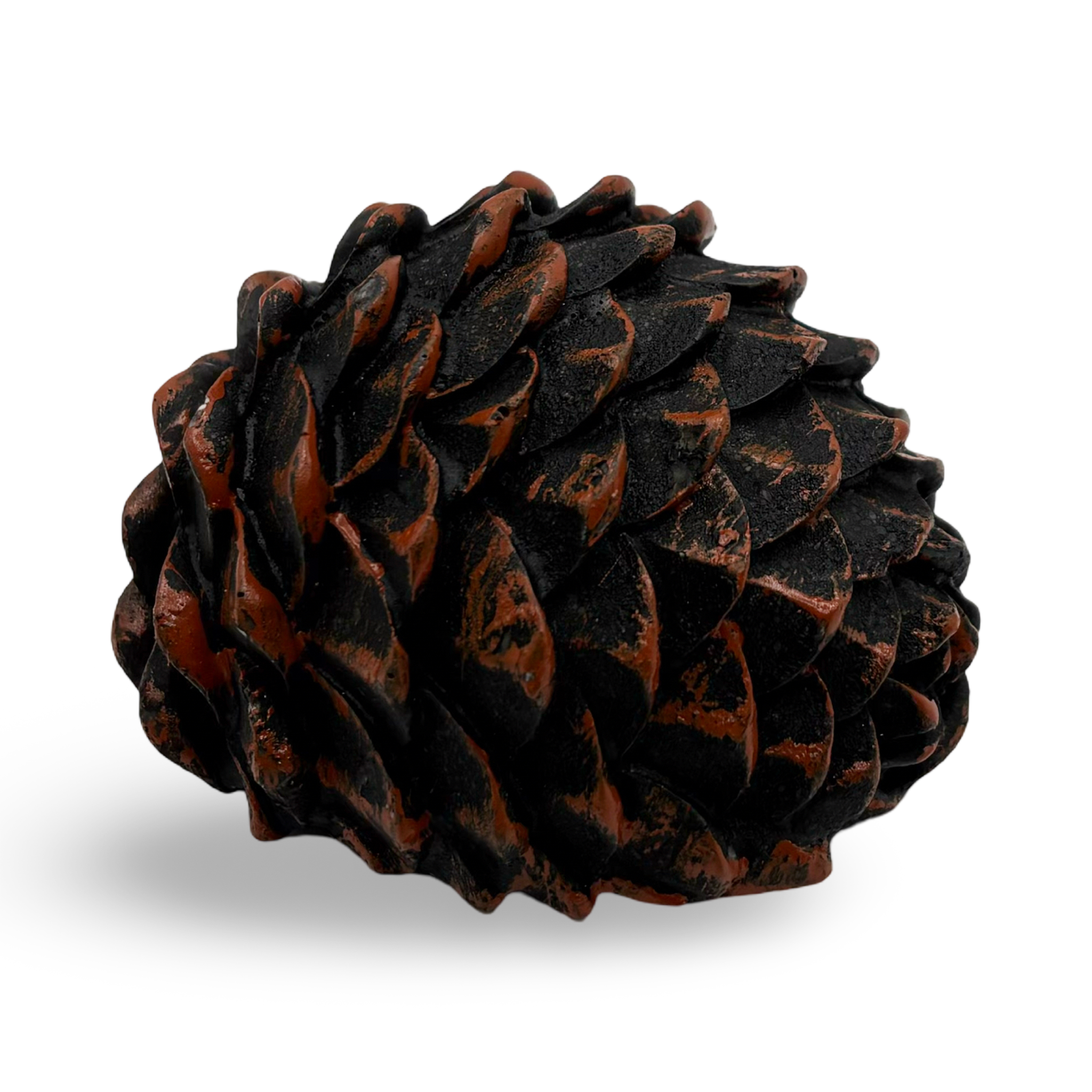 Pine Cone Cache – Shop Geocaching