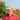 Real Deal Upcycled Tarp Ball Cap