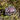 Woodland Creatures Travel Tag - Badger