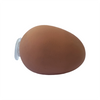 Egg geocache container
