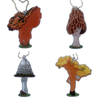 Fun Guy Mushroom Travel Tag Set - All 4 tags