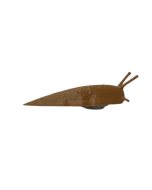 Slug Devious Cache Container - Brown