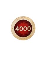 Milestone Pin - 4000 Finds