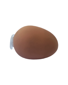 Egg geocache container