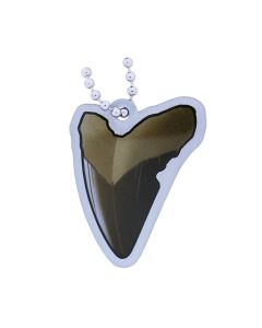 EarthCache™ Fossil Tag-  Tooth