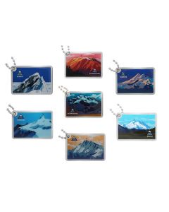 Reach the Peak Travel Tag Set - All 7 Tags- Cyber Monday Special! 