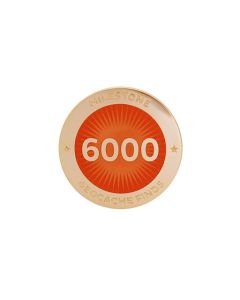 Milestone Pin - 6000 Finds